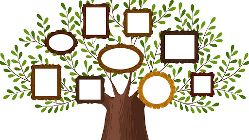 KDPBGT Genealogical family tree with picture frames. Pedigree, genealogy, lineage, dynasty concept. Vector illustration