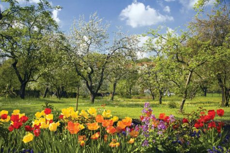 Recs for Spring/Summer Activities