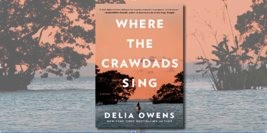 Book review blurbs for Where the Crawdads Sing from Ms. Sigismondi’s section of The List: New York Times Best Sellers