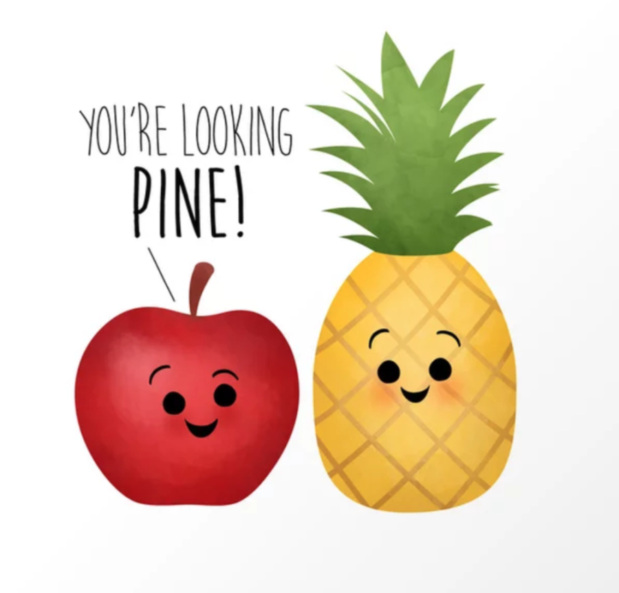 Pineapples+%28derogatory%29+the+Fake+Apple%3A+Write+Like+a+Writer+Portfolio+Piece