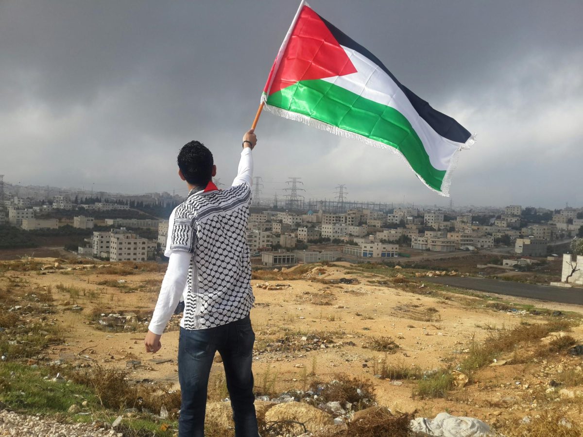 A Perfect Palestine - Effies Independent Project