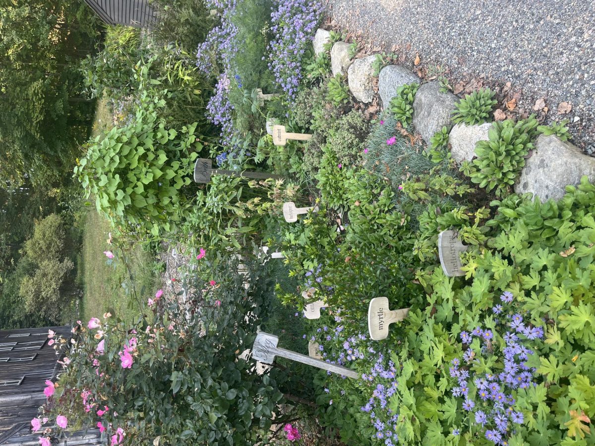 AP Lang Quest: A Trip to the Alcott House