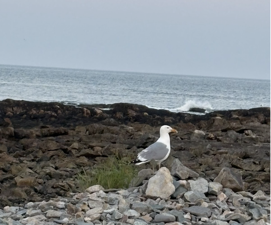 Screenshot 2025-11-14 at 10.31.12 AM